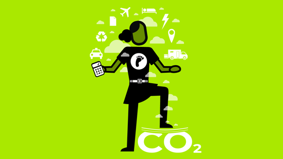 Graphic icon depicting a sustainability coordinator