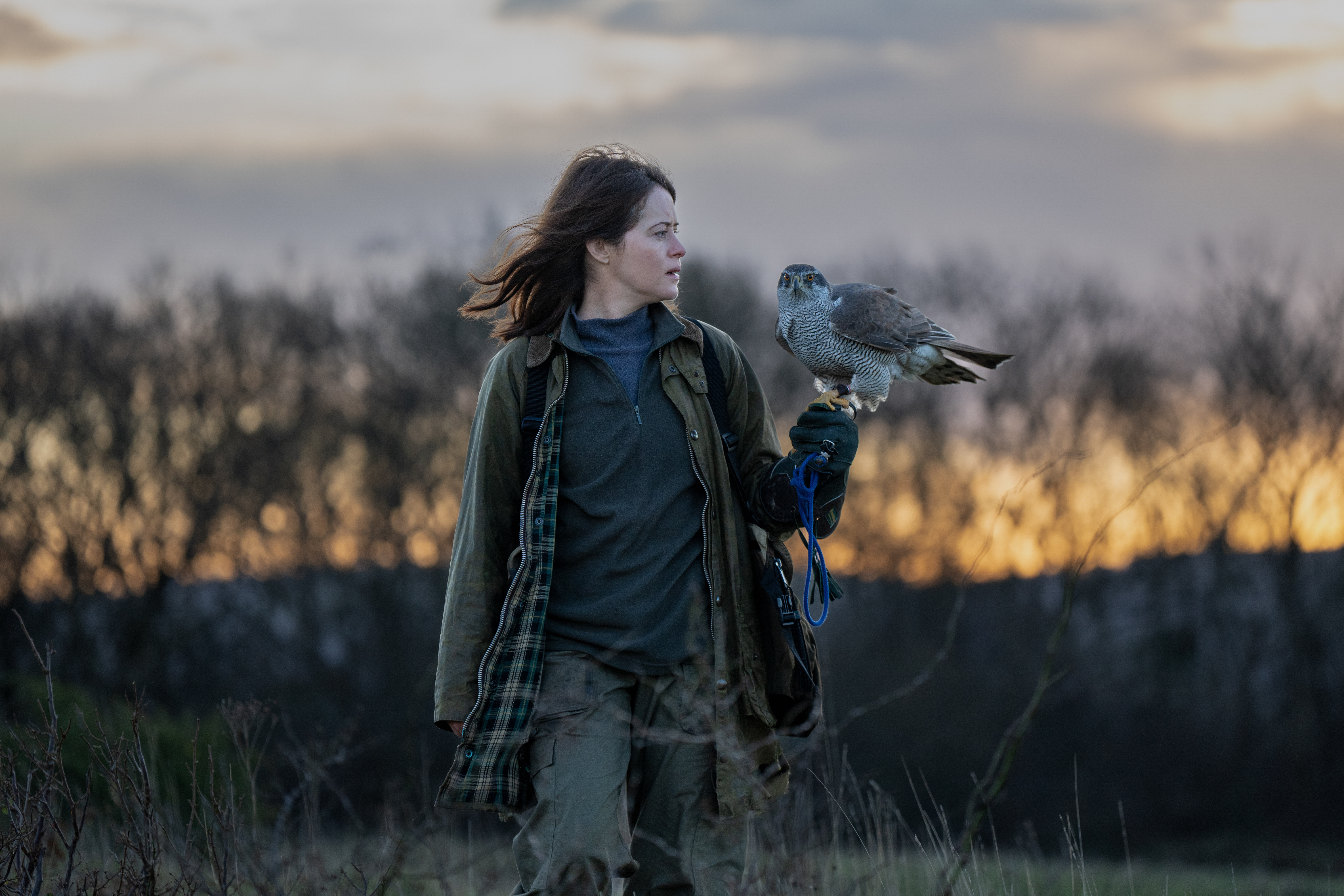 A still taken from H is for Hawk