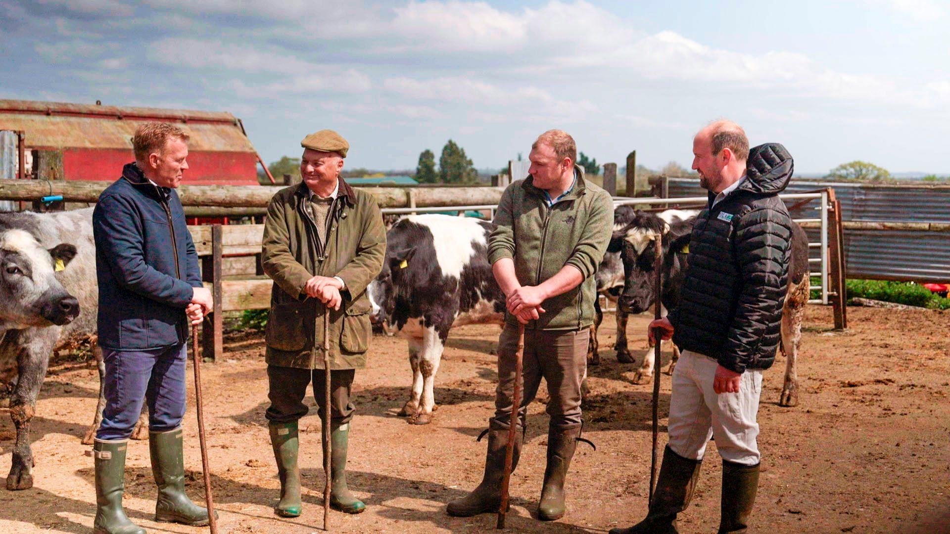 Four men stand talking side by side on a farm